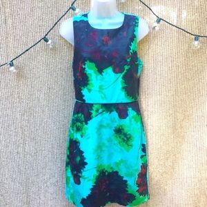 J. Crew Sleeveless Floral Shift Sheath Dress Sz 6